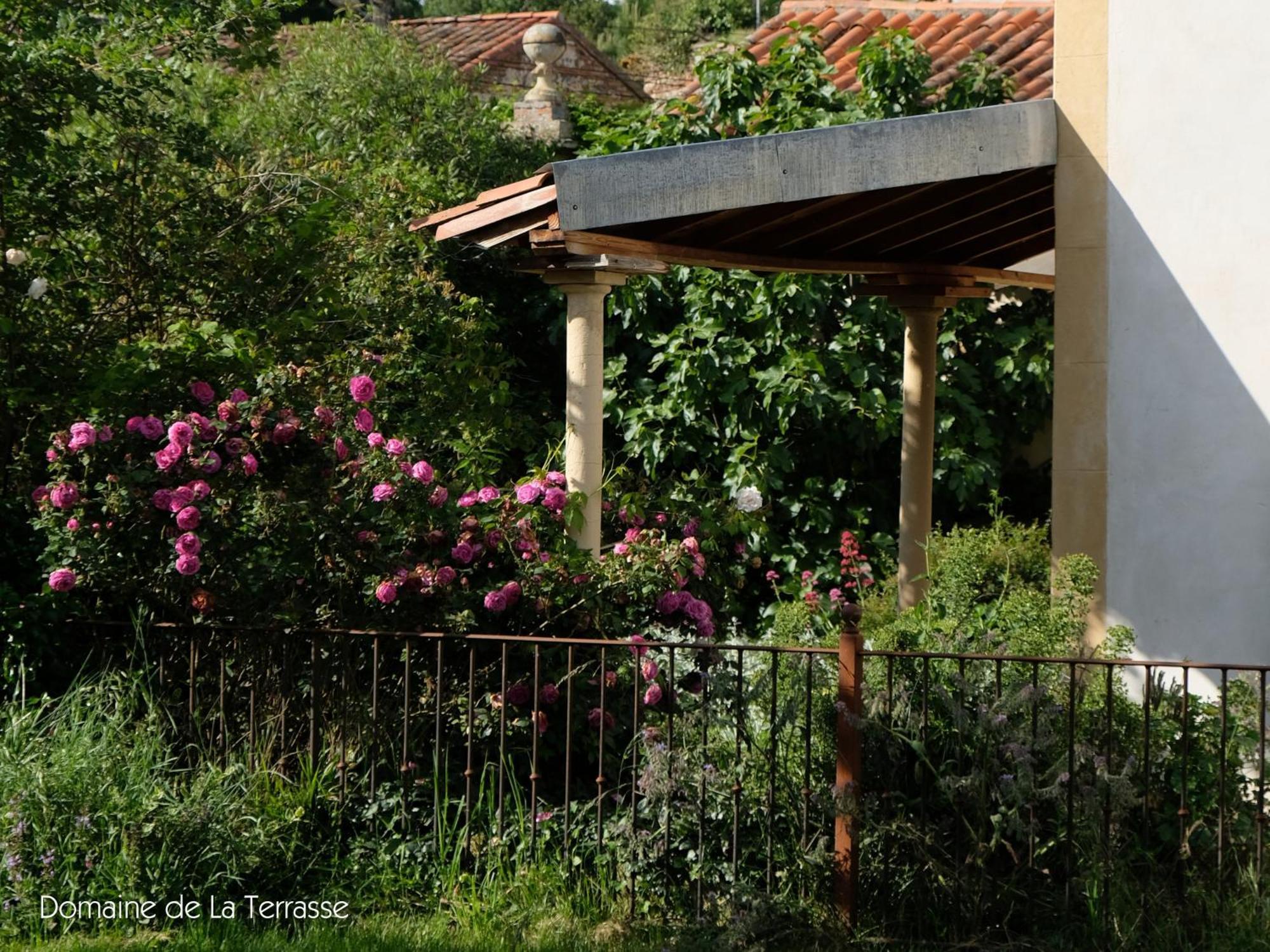 Domaine De La Terrasse Apartment Carbonne Ngoại thất bức ảnh