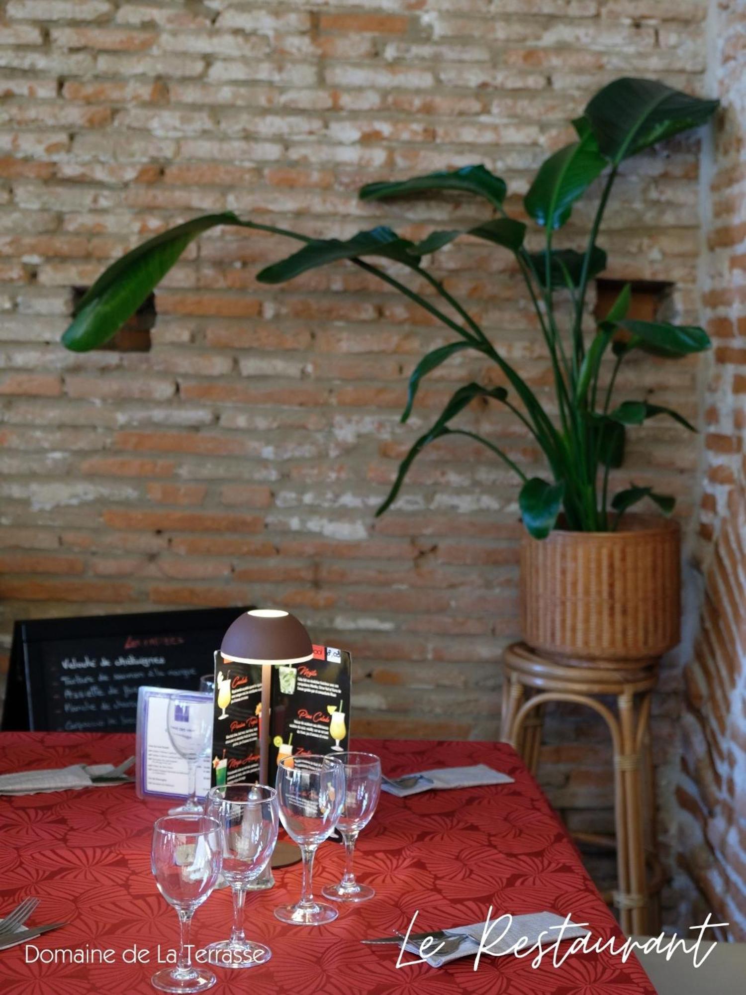Domaine De La Terrasse Apartment Carbonne Ngoại thất bức ảnh