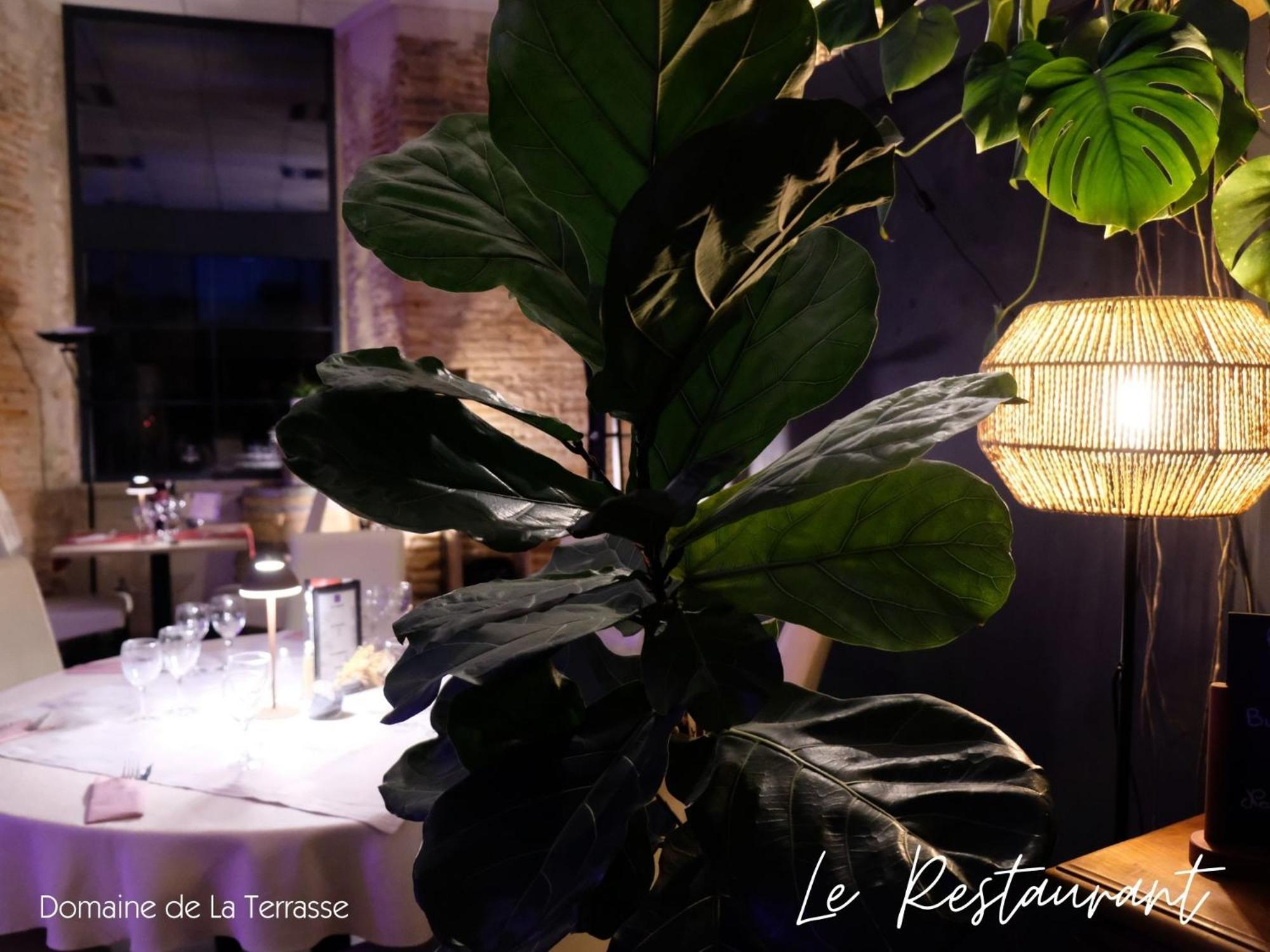 Domaine De La Terrasse Apartment Carbonne Ngoại thất bức ảnh